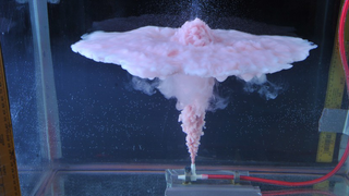 This Disgusting Pink Plume Could Help Us Clean Up Oil Spills